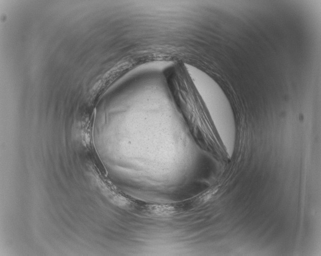 X0000051860719200507151820