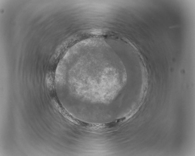 X0000051860720200507151820