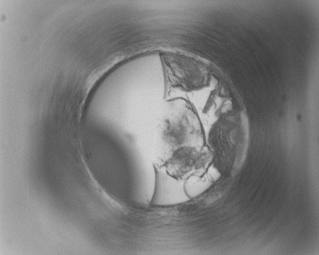 X0000051860721200507151819