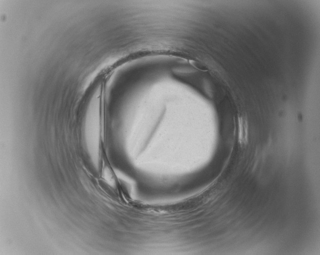 X0000051860723200507151819