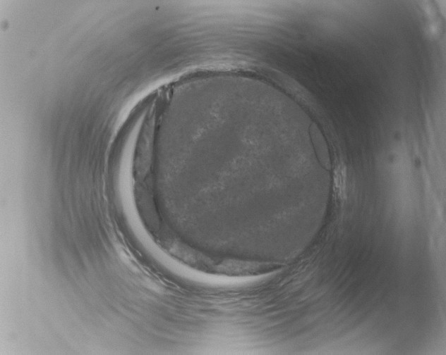 X0000051860724200507151819