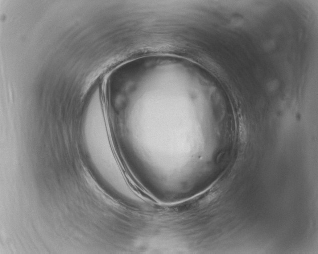 X0000051860725200507151819