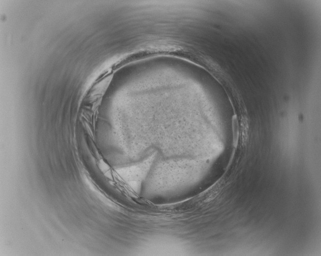 X0000051860726200507151819