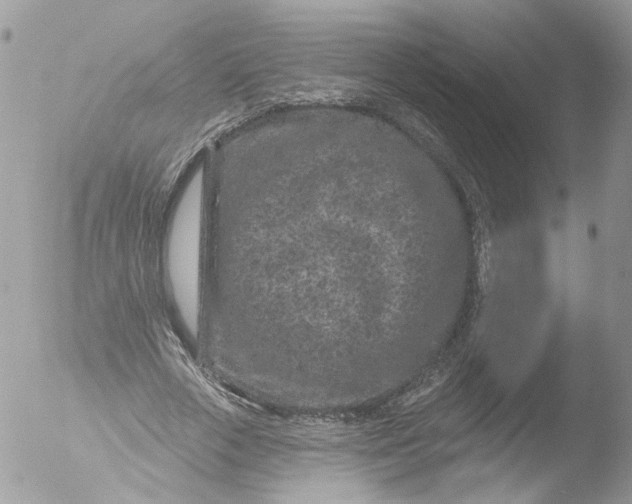 X0000051860729200507151819