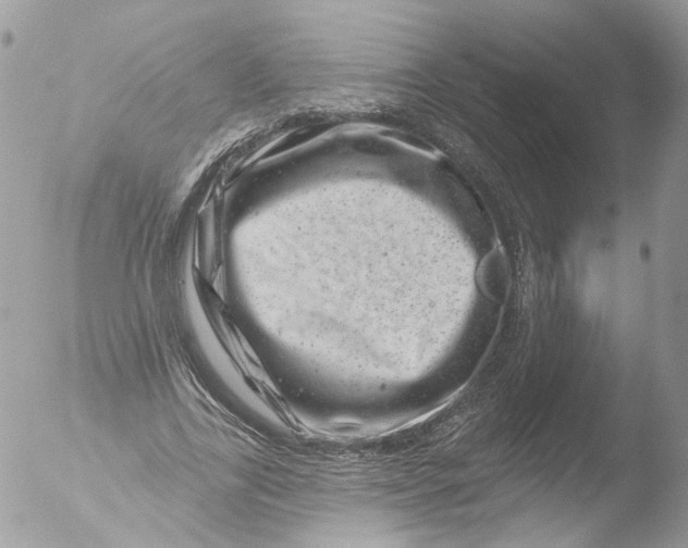 X0000051860731200507151819