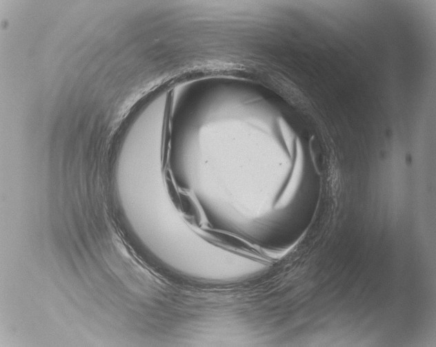 X0000051860732200507151819