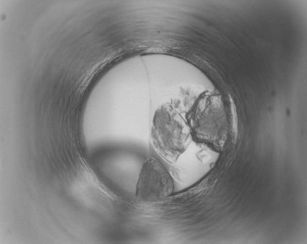 X0000051860733200507151820