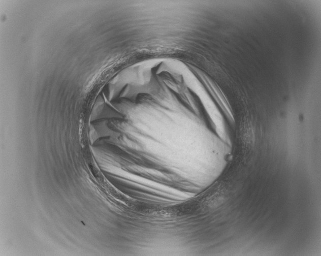 X0000051860735200507151820