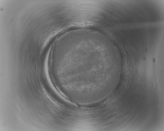 X0000051860736200507151820