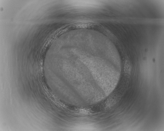 X0000051860737200507151820