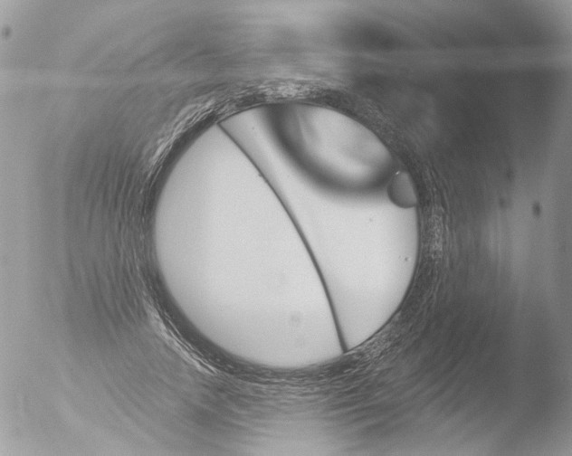 X0000051860738200507151820