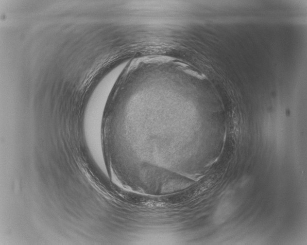 X0000051860742200507151820