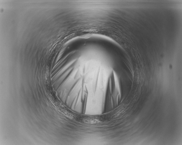 X0000051860747200507151820