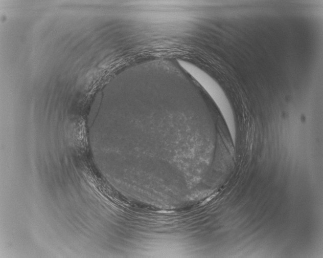 X0000051860748200507151820