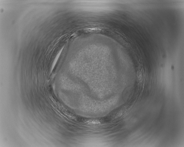 X0000051860749200507151820