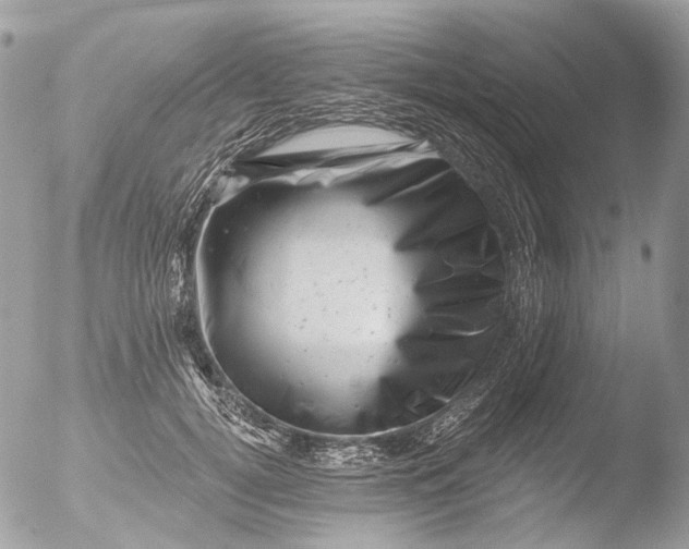 X0000051860752200507151820