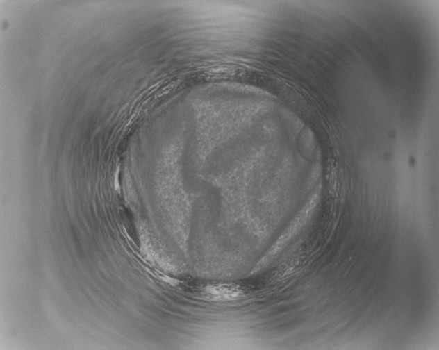 X0000051860753200507151820