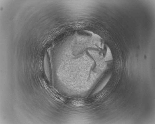 X0000051860755200507151820