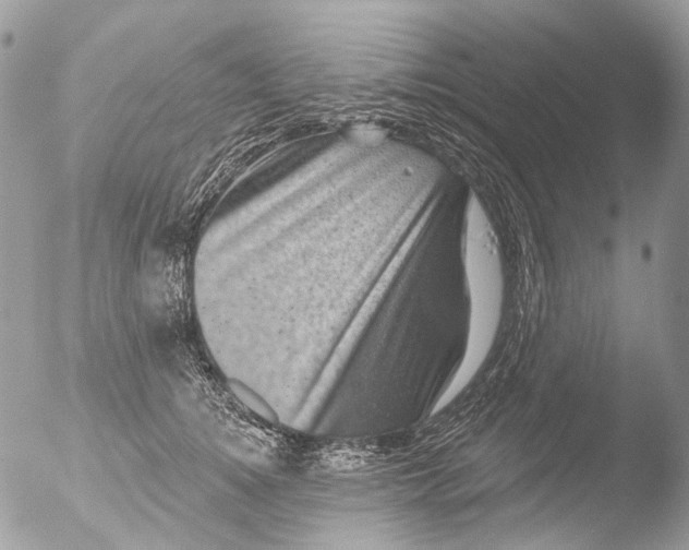 X0000051860756200507151820