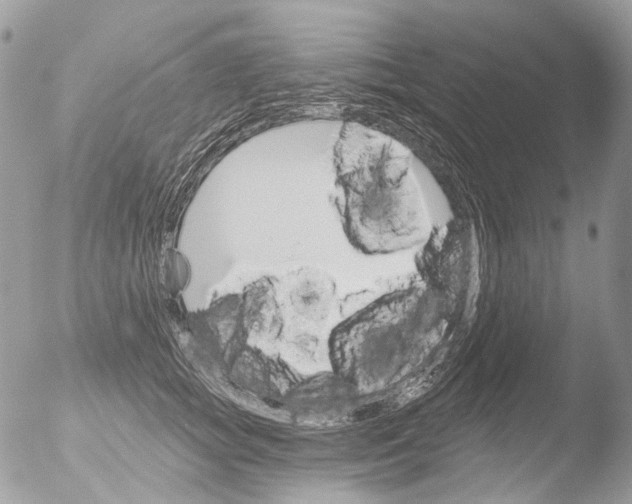 X0000051860757200507151820