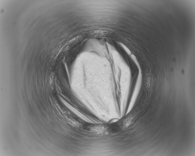 X0000051860759200507151820