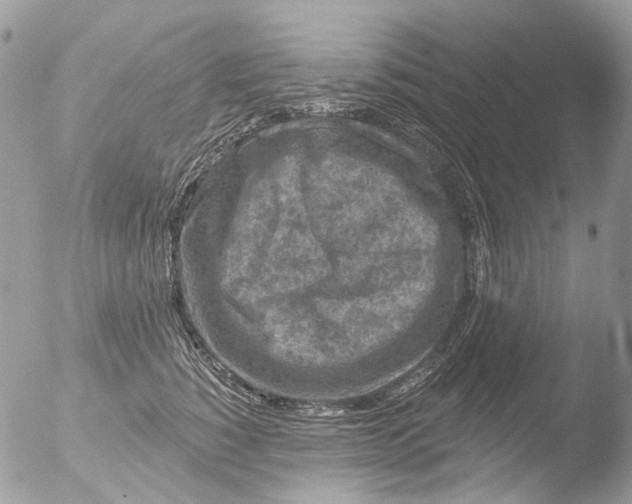 X0000051860760200507151820