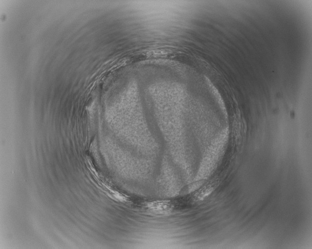 X0000051860761200507151820