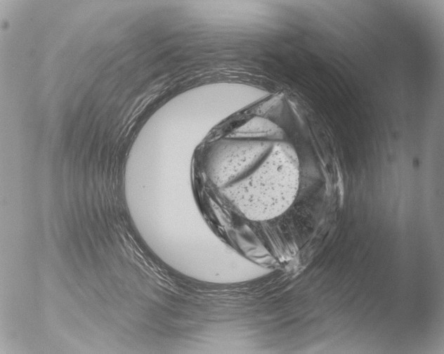 X0000051860762200507151820