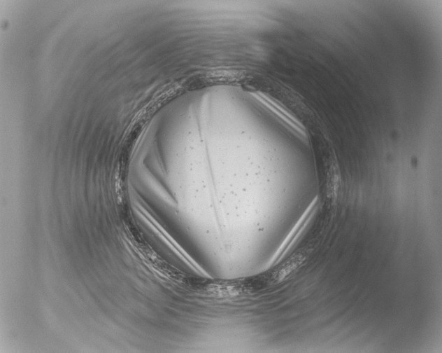 X0000051860764200507151820