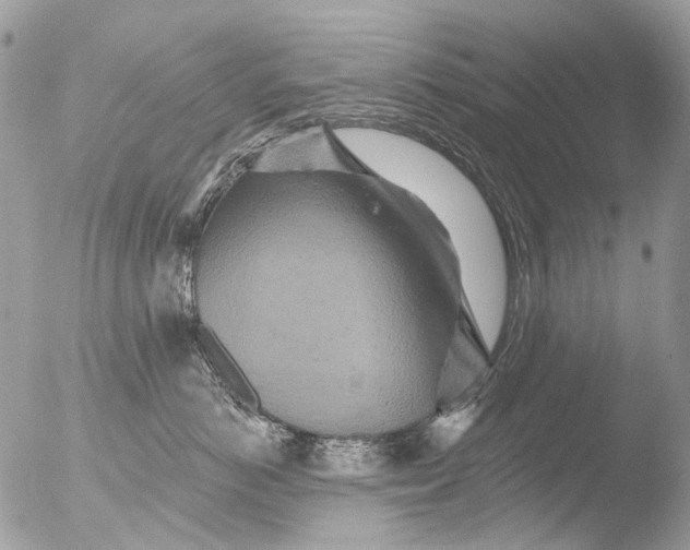 X0000051860766200507151820