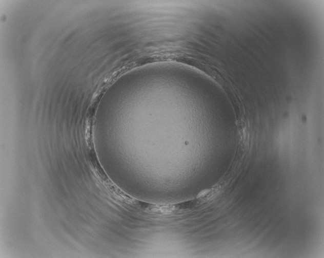 X0000051860767200507151820