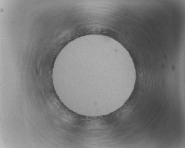 X0000051860769200507151819