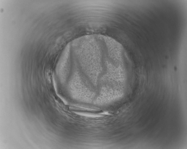 X0000051860770200507151819