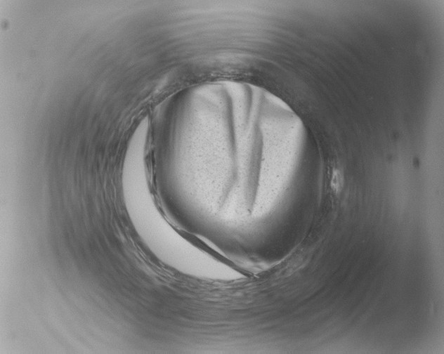 X0000051860771200507151819