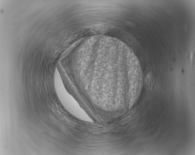 X0000051860772200507151819