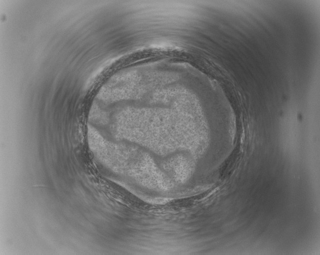 X0000051860776200507151819