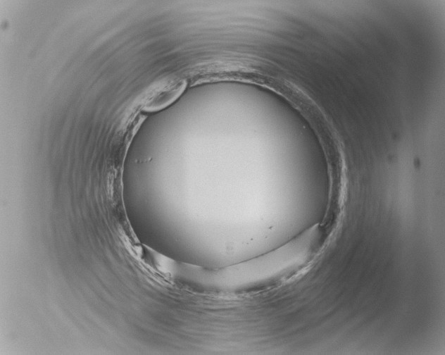 X0000051860777200507151819