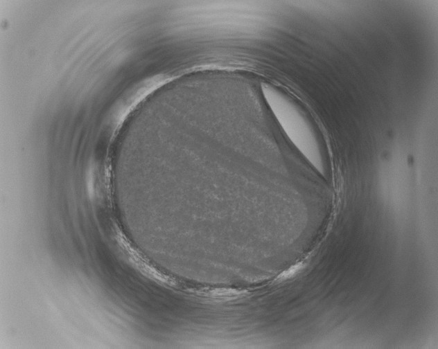 X0000051860779200507151819