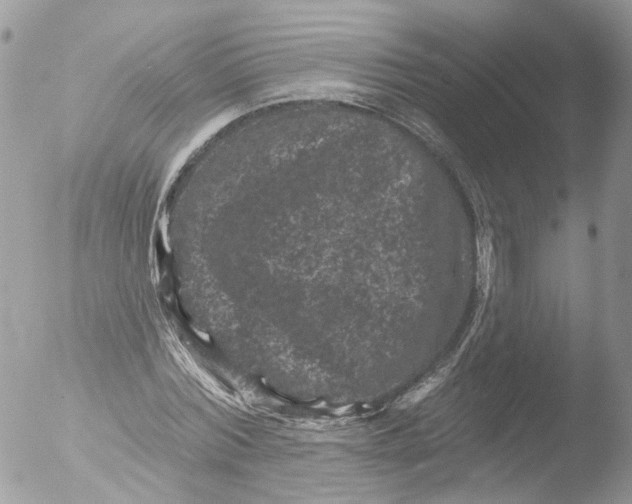 X0000051860780200507151819