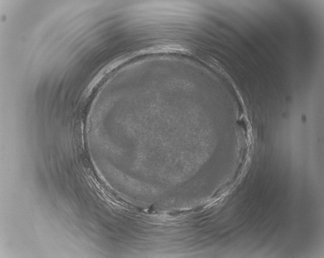 X0000051860781200507151819