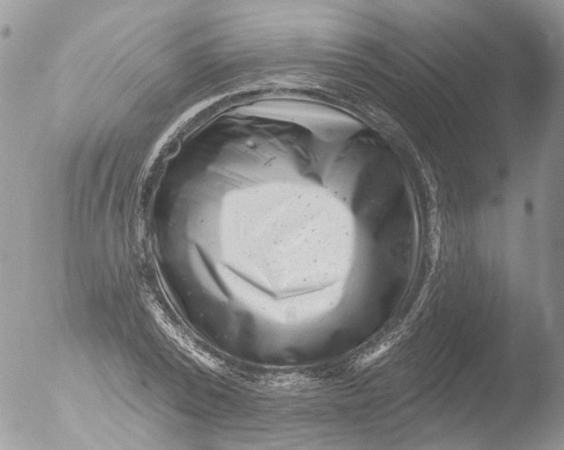 X0000051860784200507151819