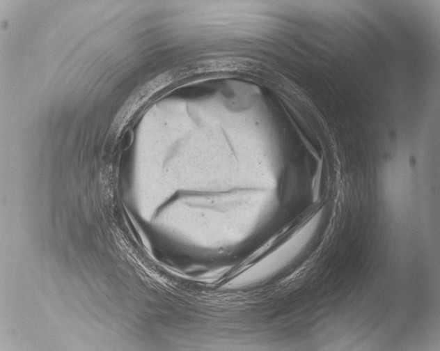 X0000051860786200507151819