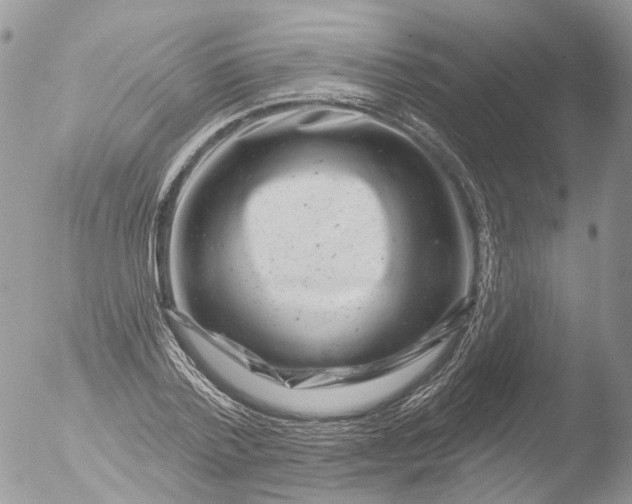 X0000051860788200507151819