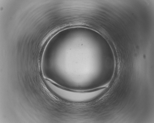 X0000051860789200507151819