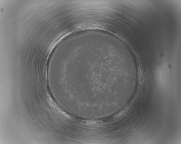 X0000051860790200507151819