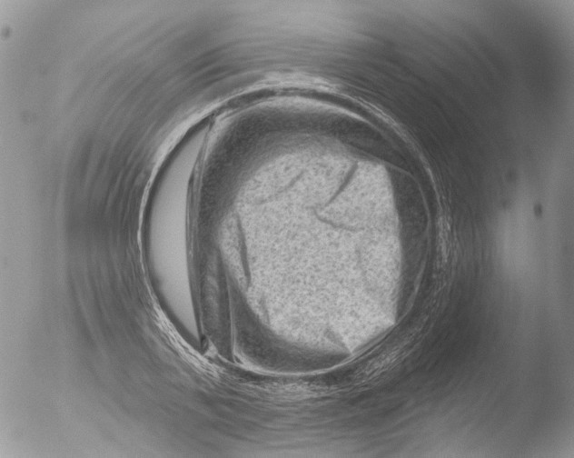 X0000051860791200507151819