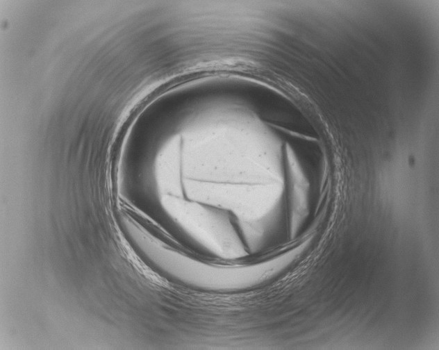 X0000051860792200507151819