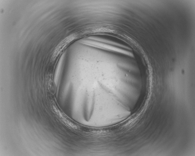 X0000051860793200507151819