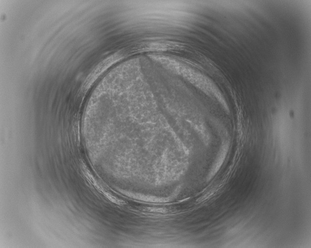 X0000051860794200507151819