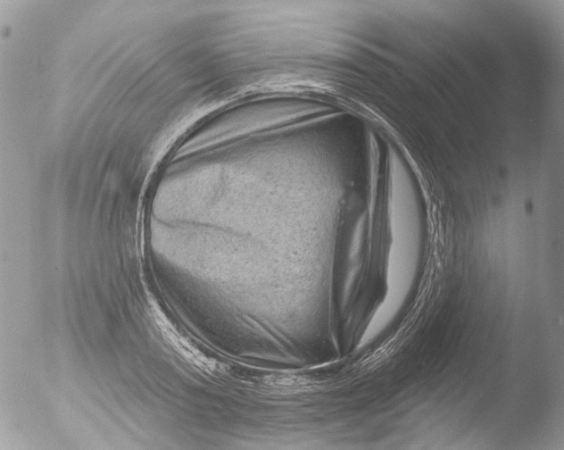 X0000051860795200507151819